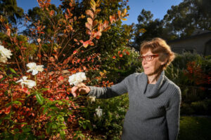 From bare packing dirt to manicured garden
