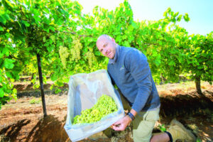 Aussies a step ahead