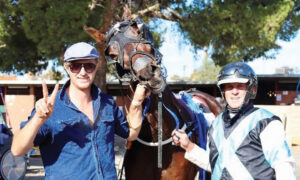 New regional restrictions force race scratchings