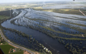 PICTURES: Murray’s might on full display from above