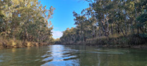 $3 million study to examine Barmah Choke options