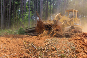 Getting tough on land clearing