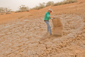 Bleak picture for Millewa farmers facing big dry