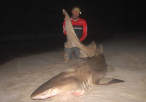 Cod Tales: ‘Old Man’, me and the sea