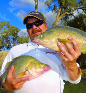 Cod tails: Avoiding the Murray cod