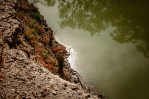 Fish kill fears remain in Menindee