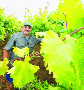 Planting the big bucks . . . now for the growth