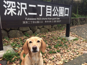 It’s a dog’s life for lucky pooch Floyd