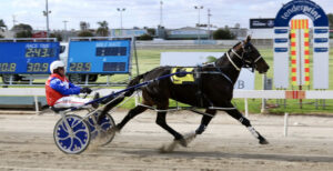 Bernie Winkle looks the goods