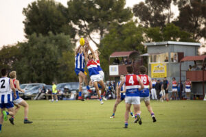 Crows swoop on young Jy Farrer