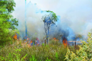 Fires, cyclones expected