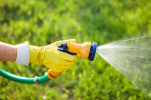 Sunraysia residents abiding by water restrictions