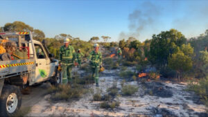 Park burns to cut bushfire risk