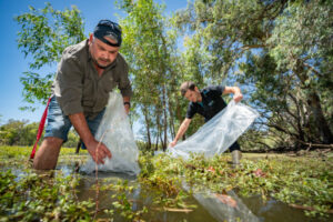 Fish release near Merbein