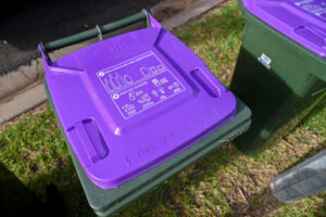 Praise heaped on purple bins