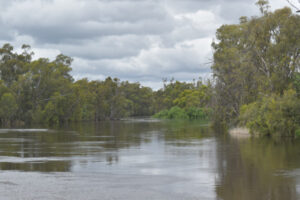 Water buybacks ‘the easy way out’, says VFF