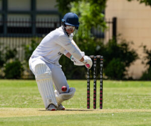Swallows impress with bat