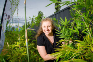 Shooting stars help the bamboozled gardener