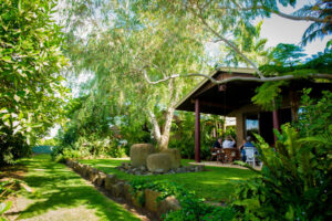 Nangiloc garden oasis has a tropical feel