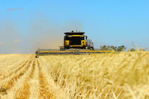 Farming a mixed bag