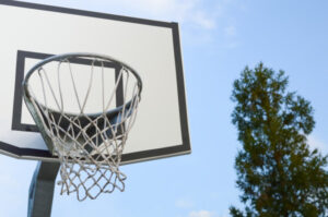 Survey seeks direction on Red Cliffs half-court