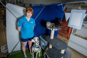 Micropchip blitz for pet owners next month