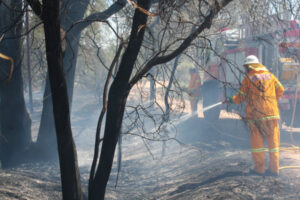 No fire permits over holiday period