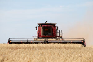 Wheat price could get a short boost from Ukraine invasion