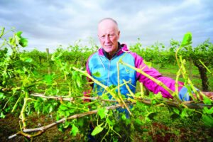 Dollars ‘down the drain’