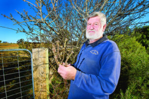 Doubts over honey study