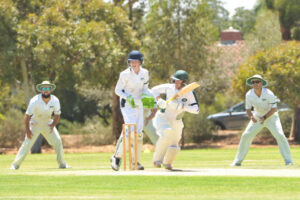 Sunraysia cricket: Chris Williams ton not enough