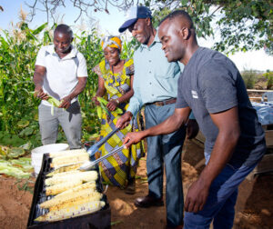 Harvest spoils shared at Sunraysia Burundian Garden