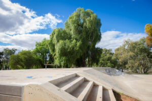 Vandals force trees’ removal