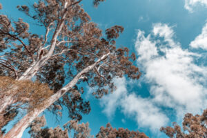 Cool event in the CBD