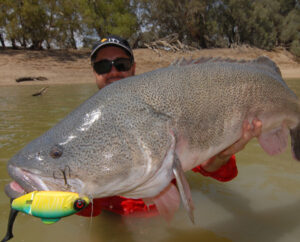Cod Tales: Lure action: Fair and square
