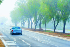 Thick fog causes flight delays