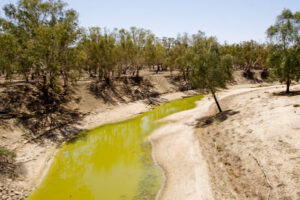 Mildura Council calls for comment on basin draft paper