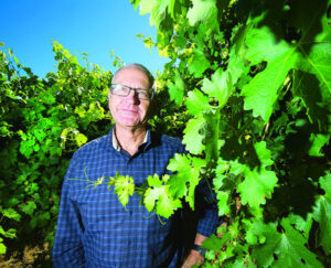 Our wines give a kick