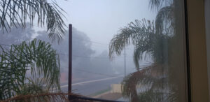 PHOTOS: Fog sweeps through Mildura