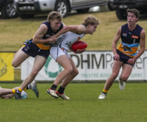 Pioneers embrace Sunraysia flavour
