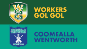VIDEO: Bill Sauer’s Sunraysia Cricket Association semi-final review