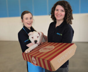 Tatsy treats to help RSPCA