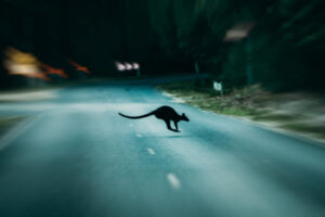Black spot crash