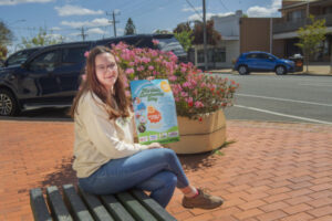 Town party to provide family fun