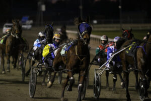 Laugher driving high