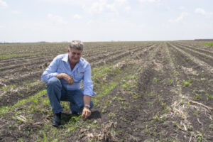 Farming: Root out weed problem early to preserve profits