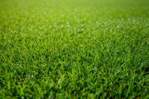 rained-out final declared a draw