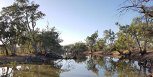 Water theft action backed