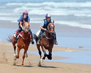 Bob’s shot at big time