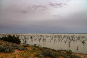 Menindee Lakes flood brake ‘doesn’t make any sense’